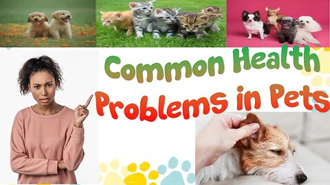 Common Health Problems Afflicting Pets