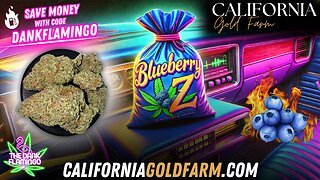 Is Blueberry Z from California Gold Farm Truly Blueberry? The Dank Flamingo Review!!