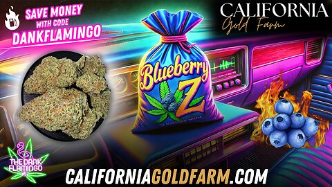 Is Blueberry Z from California Gold Farm Truly Blueberry? The Dank Flamingo Review!!