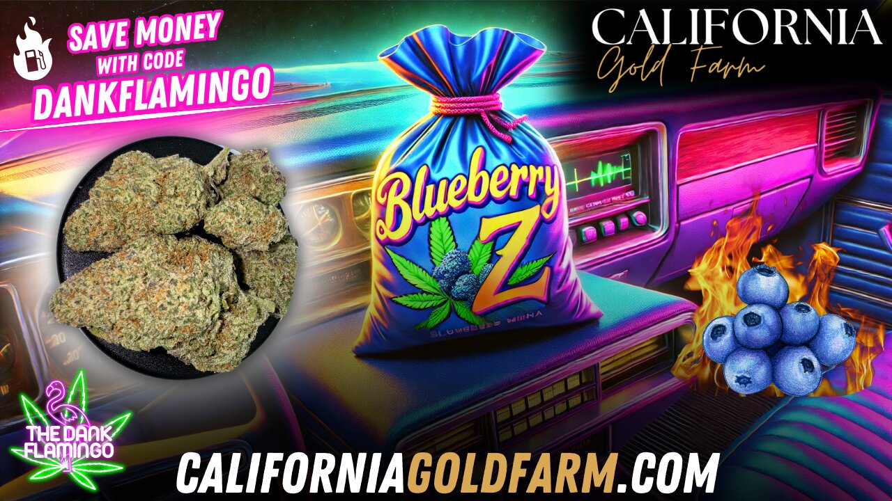 Is Blueberry Z from California Gold Farm Truly Blueberry? The Dank Flamingo Review!!