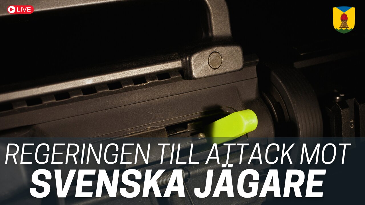 Regeringen ändrar vapenlagen i skandalös symbolpolitik