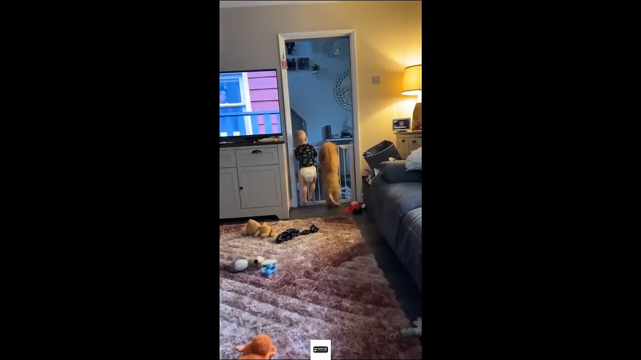 funny animal