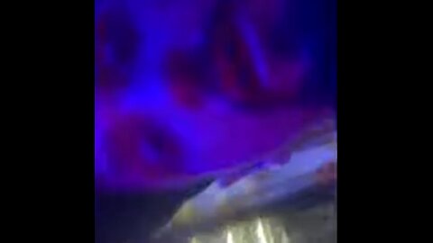 STUNTING ON BROKE FEMALES BURGOS STREET MAKATI PT 2