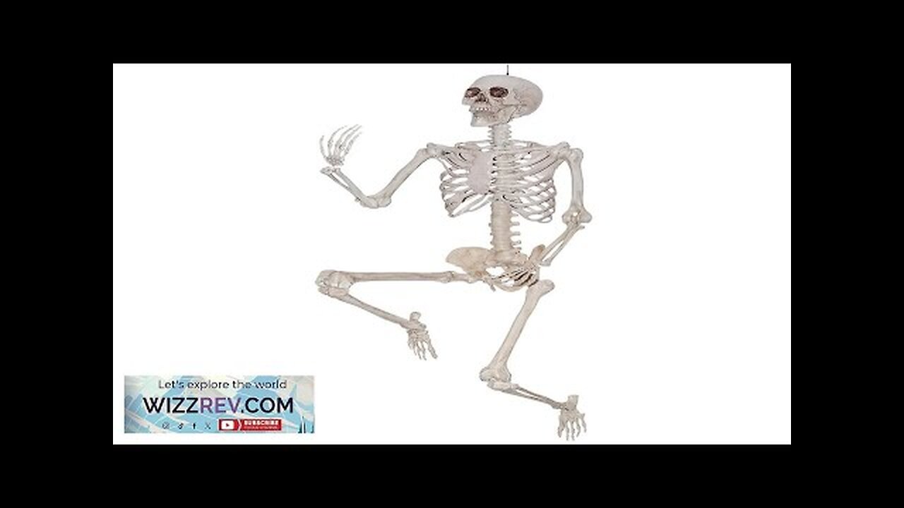 Skeleton 79&quot; Posable Creepy Decoration Review