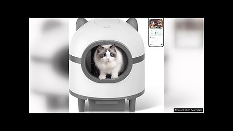 Self Cleaning Cat Litter Box, Large Automatic Cat Litter Box Review