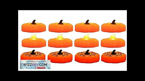 12PCS Mini Pumpkin Candles Flameless Candles Thanksgiving Pumpkin Tea Lights Pumpkin Candles Review