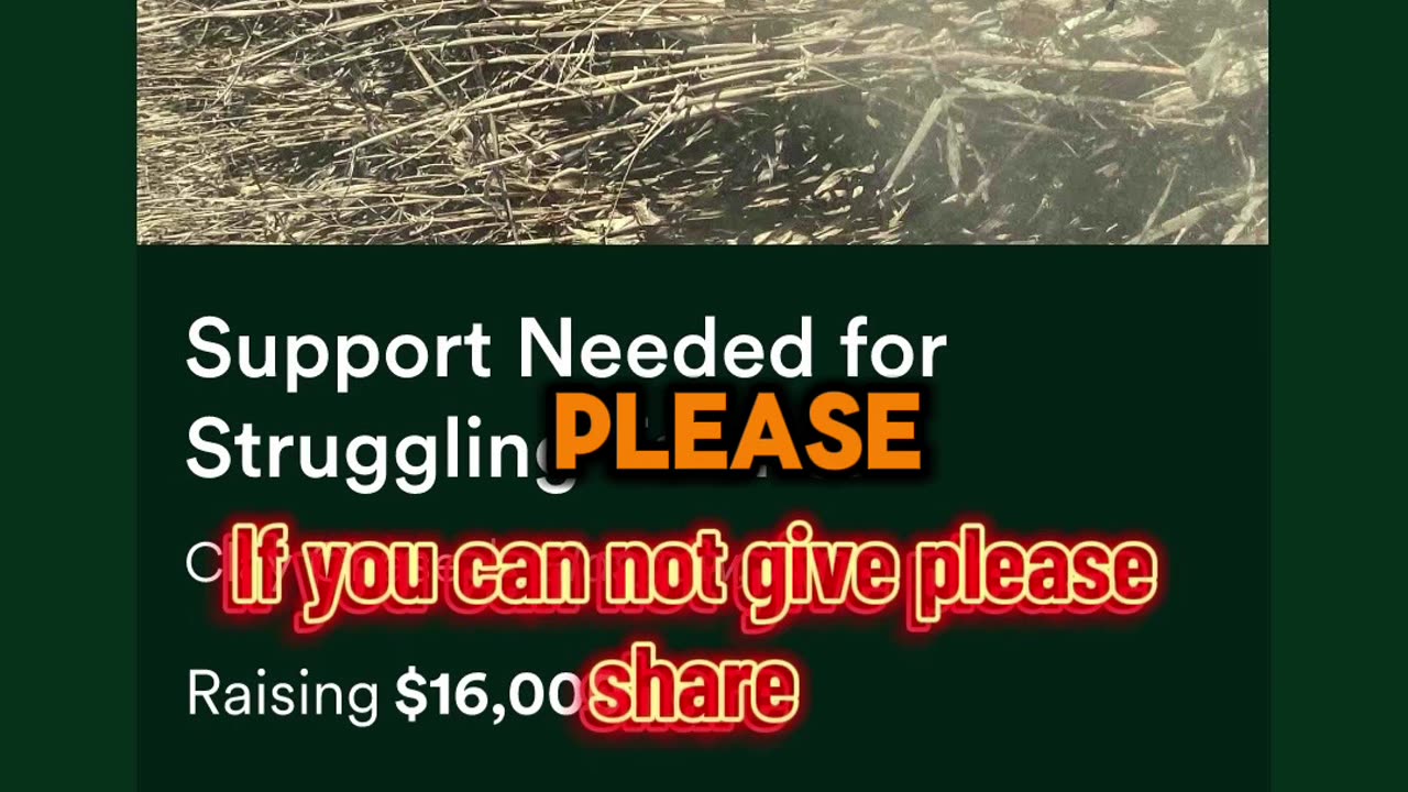 Help save our farm