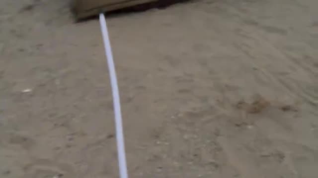 Funny video