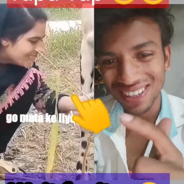 Girl Drinks Directly from a Cow