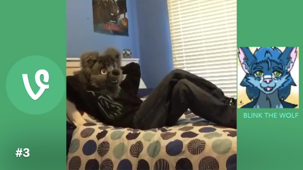 Furry Vines 3