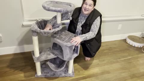Is This the Best Cat Tree Ever? YUNIQUE’s Condo & Giant Hammock Will Spoil Your Cat!