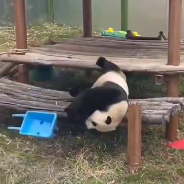 When you are unhappy with the Christmas presents you got