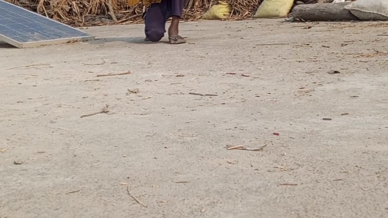 Nag dance