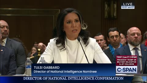 Tulsi Gabbard Senate Confirmation Hearing to be Director of National Intelligence