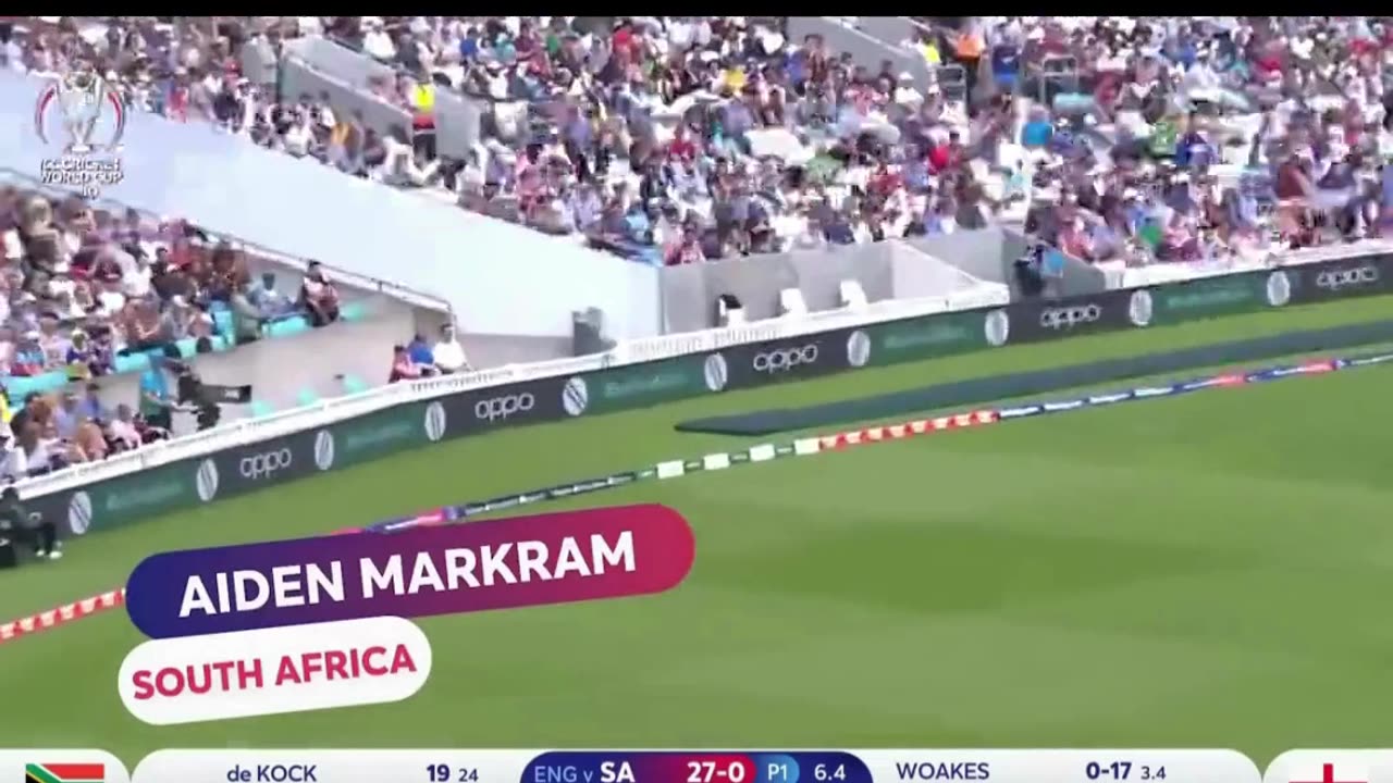 WHAT IS COVER DRIVE ❤️ | @MSWRITES | #CricketPassion #CricketVibes #CricketFever