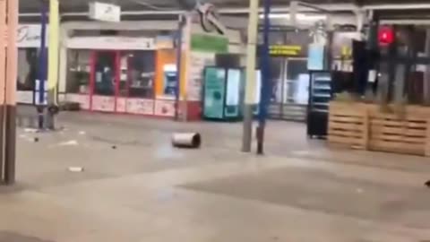 This is Europe. Doctors or engineers?