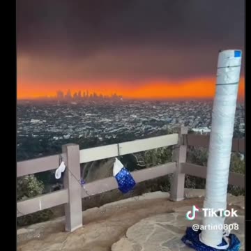 Mel Gibson's Thoughts on the Palisades Fire - Los Angeles jan 2025