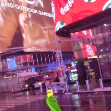 "Periquito" de Salo Venegas.