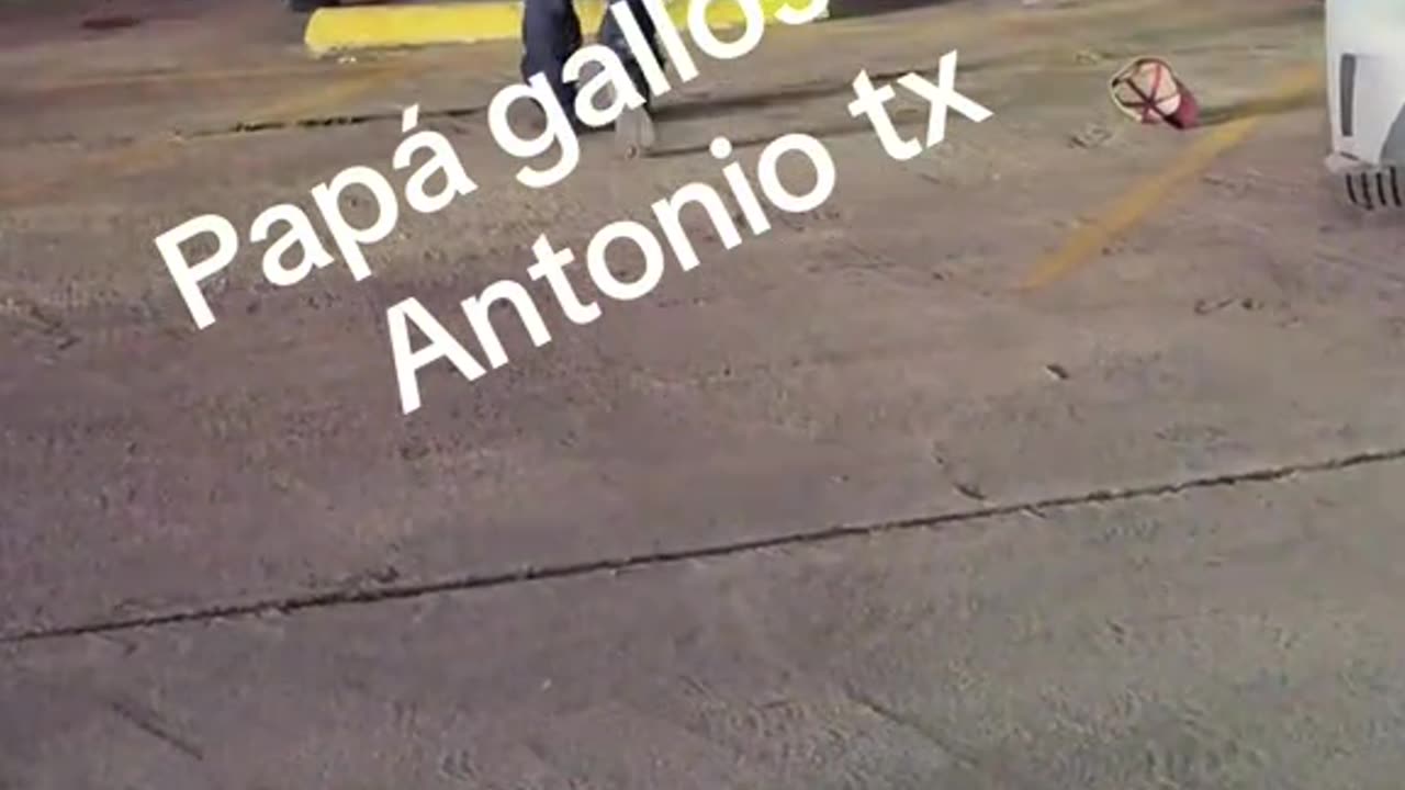 41-year-old man killed after shooting outside Papi Gallo Cantina in San Antonio