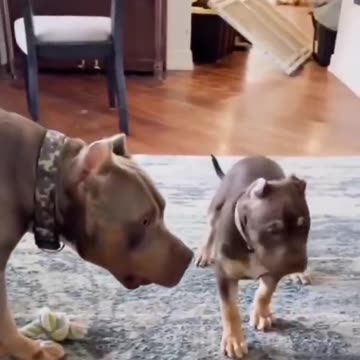 “Father Teaches Son an Important Lesson”