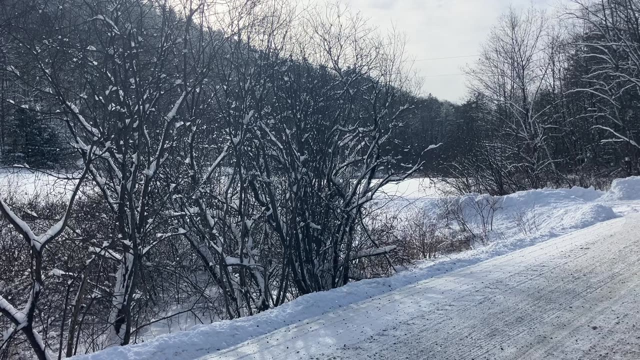 Listening to birds in the glimmering snow ❄️