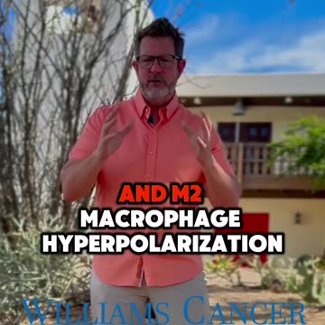 Understanding the Complex Impact of Chemotherapy on Metastasis