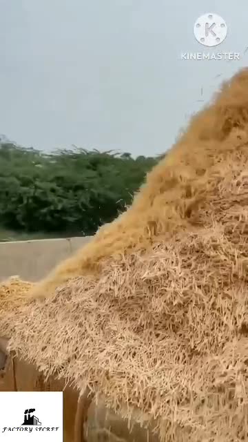 "Unbelievable Wooden Match Stick Making Process: Watch How They're Made in a Factoy!"