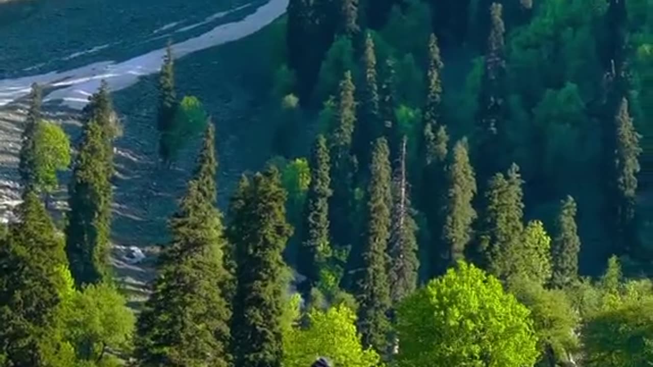 Haven of the earth