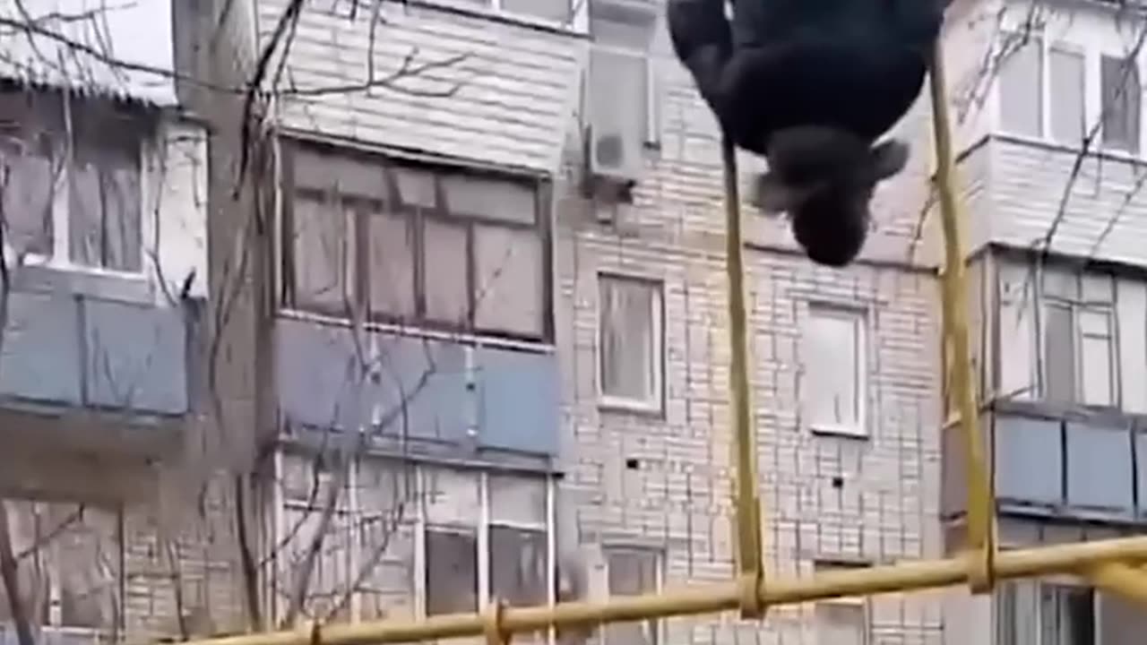 Try not to laugh challenge 59 🤣🤣#shorts #funny #memes