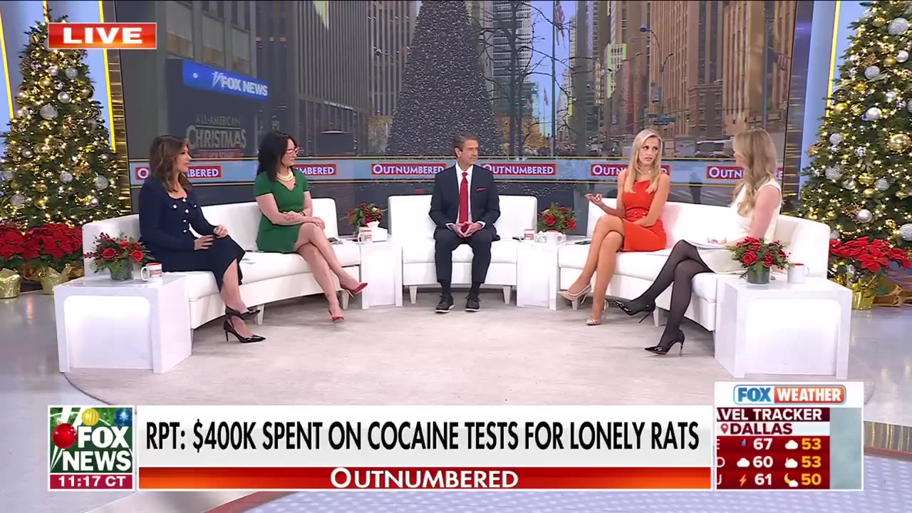 Gov't waste report finds $400K spent to give lonely rats cocaine: 'Absurd'