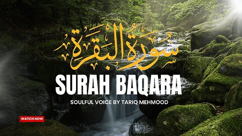 Surah Baqara |Beautiful Recitation of Holy Quran | Soulful Voice by Qari Tariq Mehmood #islamicvideo