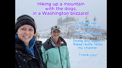 Hiking up a mountain in a Washington blizzard! #mountainhike, #jeeps