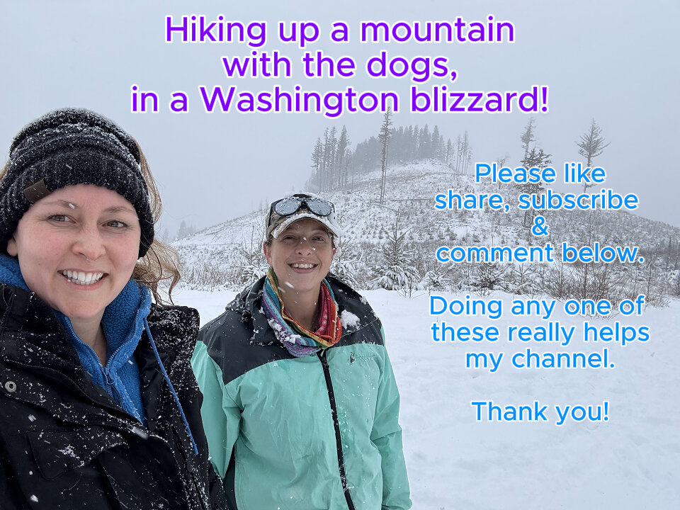 Hiking up a mountain in a Washington blizzard! #mountainhike, #jeeps