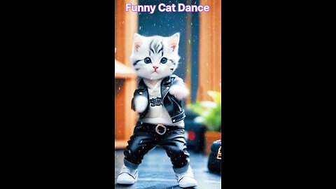 Cat dance #petvideos #prediction #funnyanimals #california #foryou #children #kidsvideo #funnykids