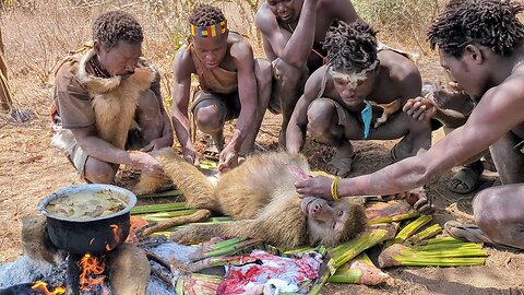 Hadzabe tribe Boys catch up Wild Baboon Monkey for today's Lunch