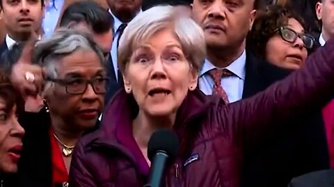 SEN. ELIZABETH WARREN: "No One Voted for Elon Musk"