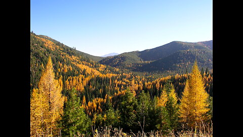 #1. Mark Wisdom Trail Camera Videos - Eastern Oregon.