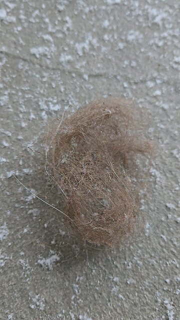 This is your hair on fire