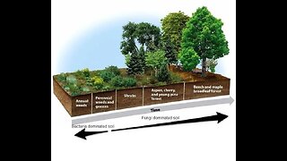 Review of Permaculture Smackdown Soil Tests p2 :: Midnight in Doc's Garden ::