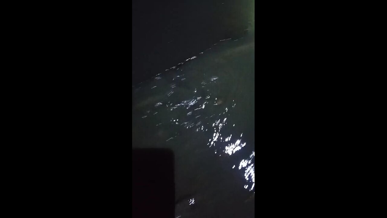 Small fish should not be taken yet. 😅