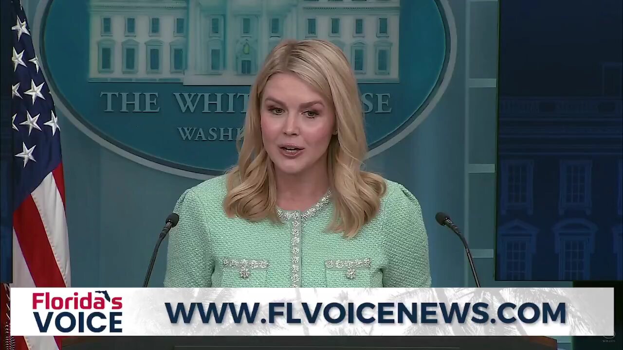 Karoline Leavitt destroys AP reporter at press conference