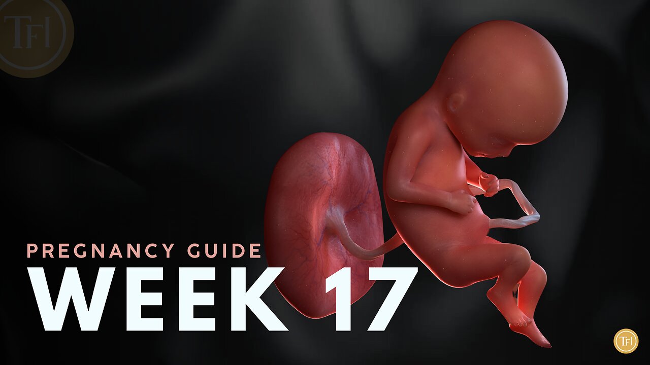 What to Expect at Week 17 | Week by Week Pregnancy Guide