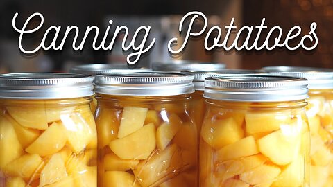 Canning POTATOES and saving your harvest for the winter