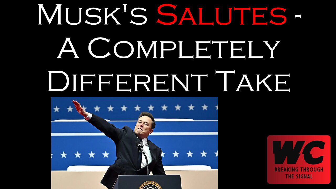 Musk's Salutes - A Completely Different Take