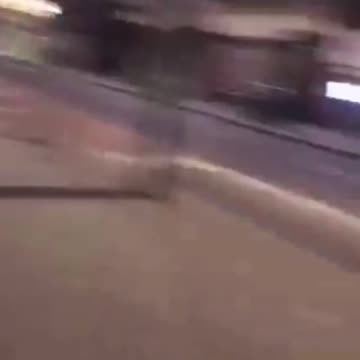 Usual suspects hit an Irish girl, then run away like rats and no one intervenes.