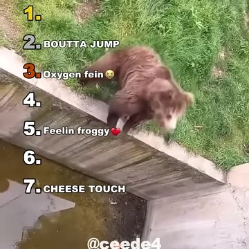 Funniest Medazelli🤣#ranking #medazelli #tiktok