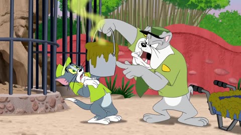 Tom& jerry