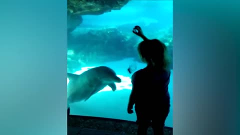 🤣Funny Kids at The Aquarium animals Video Kids video