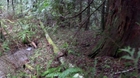 Turning Creek Water into Household Drinking Water