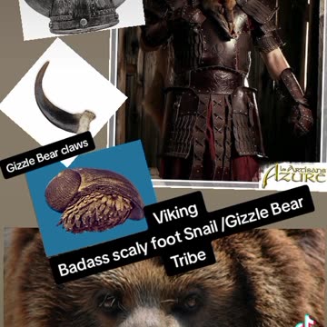 VIKING SNAIL, BEAR TRIBE